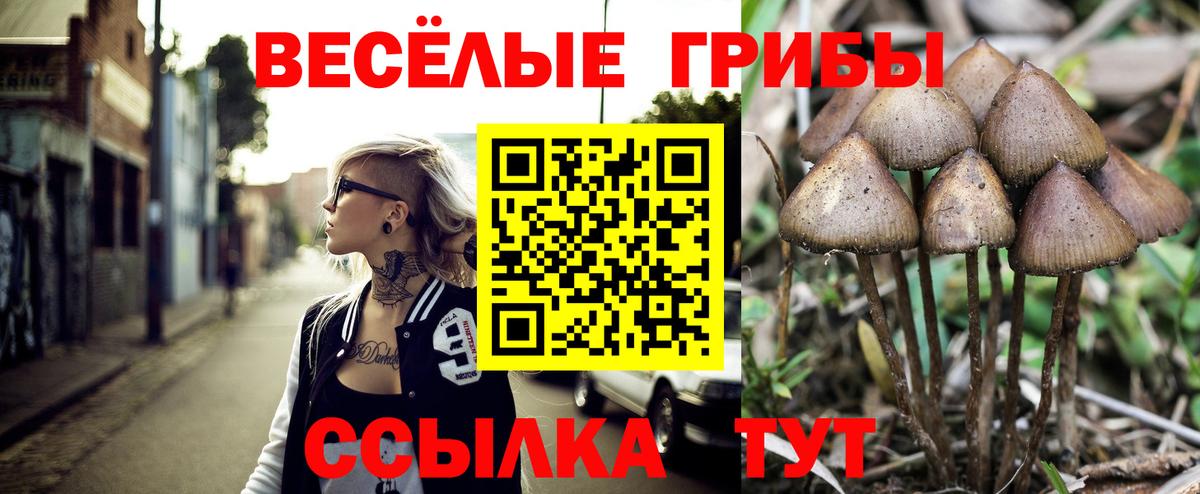 Галлюциногенные грибы Magic Shrooms  Вход с VPN  Чебоксары 